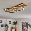 Pompu Plafoniera LED Legno chiaro, Nero, 2-Luci