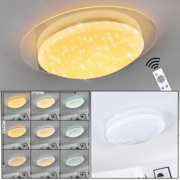 Rosenga Plafoniera LED Bianco, 1-Luce, Telecomando