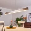 Poroporo Lampadario a sospensione LED Nichel opaco, 1-Luce