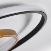Trapani Plafoniera LED Oro, Nero, 1-Luce, Telecomando, Cambia colore