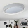 Beade Plafoniera LED Grigio, Bianco, 1-Luce, Telecomando, Cambia colore