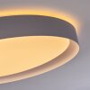 Beade Plafoniera LED Grigio, Bianco, 1-Luce, Telecomando, Cambia colore