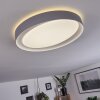 Beade Plafoniera LED Grigio, Bianco, 1-Luce, Telecomando, Cambia colore