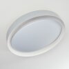 Beade Plafoniera LED Grigio, Bianco, 1-Luce, Telecomando, Cambia colore