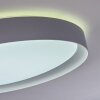 Beade Plafoniera LED Grigio, Bianco, 1-Luce, Telecomando, Cambia colore