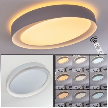 Beade Plafoniera LED Grigio, Bianco, 1-Luce, Telecomando, Cambia colore