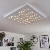 Cetara Plafoniera LED Grigio, 1-Luce, Telecomando, Cambia colore