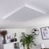 Cetara Plafoniera LED Grigio, 1-Luce, Telecomando, Cambia colore