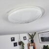 Rosenga Plafoniera LED Bianco, 1-Luce, Telecomando