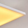 Salamo Plafoniera LED Bianco, 1-Luce, Telecomando