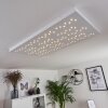 Cetara Plafoniera LED Grigio, 1-Luce, Telecomando, Cambia colore