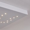 Cetara Plafoniera LED Grigio, 1-Luce, Telecomando, Cambia colore