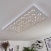 Cetara Plafoniera LED Grigio, 1-Luce, Telecomando, Cambia colore