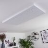 Cetara Plafoniera LED Grigio, 1-Luce, Telecomando, Cambia colore