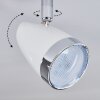 Idlewild Plafoniera LED Cromo, Bianco, 2-Luci