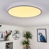 Sani Plafoniera LED Bianco, 1-Luce, Telecomando