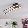 Aringa Plafoniera LED Nero, 1-Luce