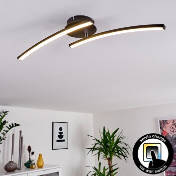 Aringa Plafoniera LED Nero, 1-Luce Aringa Plafoniera LED Nero, 1-Luce