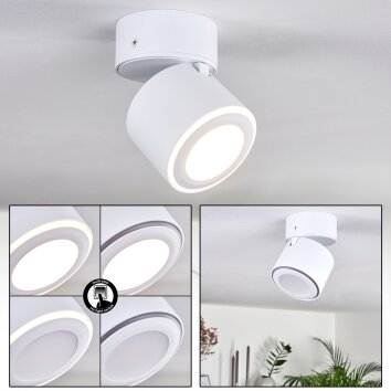 Appleton Plafoniera LED Bianco, 1-Luce