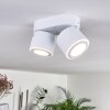 Appleton Plafoniera LED Bianco, 2-Luci