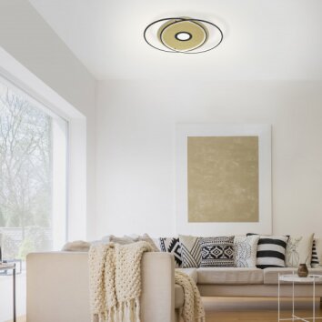 Paul Neuhaus Q-AMIRA Plafoniera LED Nero, 1-Luce, Telecomando