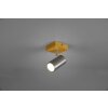 Trio Marley faretto Legno chiaro, 1-Luce