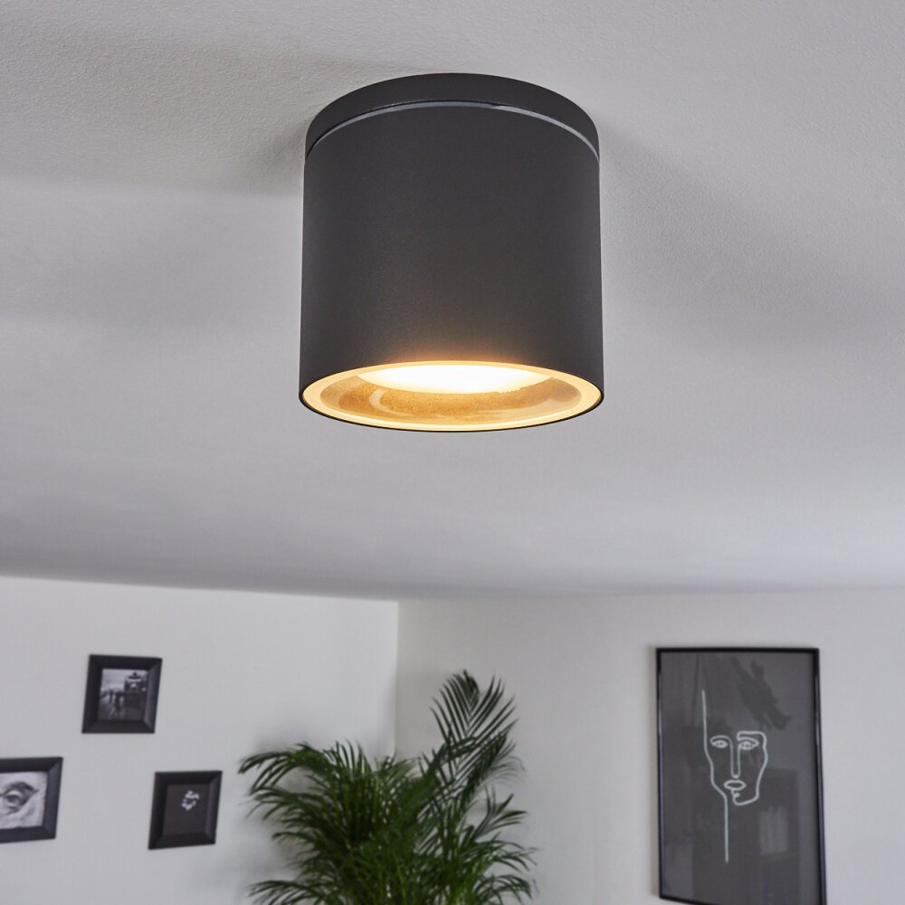Macoupin Plafoniera Nero, 1-Luce main product photo