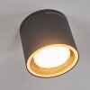 Macoupin Plafoniera Nero, 1-Luce Macoupin Plafoniera Nero, 1-Luce