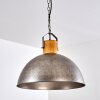 Lampadario a sospensione Tholen Marrone, Argento, 1-Luce