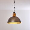 Lampadario a sospensione Tholen Marrone, Argento, 1-Luce