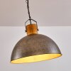 Lampadario a sospensione Tholen Marrone, Argento, 1-Luce