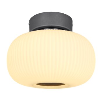 Globo  Plafoniera LED Antracite, Nichel opaco, 1-Luce