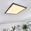 Salmi Plafoniera LED Nero, Bianco, 1-Luce