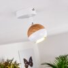 Kotaoa Plafoniera LED Bianco, 1-Luce