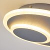 Harea Plafoniera LED Grigio, 1-Luce