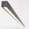 Steinhauer Light Stripe Lampada a Sospensione LED Nero, 1-Luce