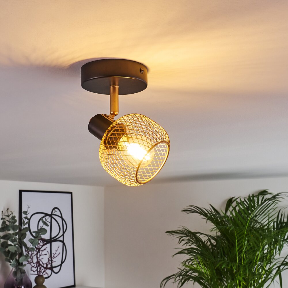 Pipisu Plafoniera Oro, Ottone, Nero, 1-Luce main product photo