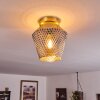 Gombua Plafoniera Ottone, 1-Luce