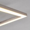 Chilkat Plafoniera LED Nichel opaco, 1-Luce