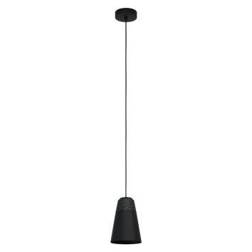 Eglo CANTERRAS Lampadario a sospensione Nero, 1-Luce