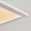 Salmi Plafoniera LED Bianco, 1-Luce