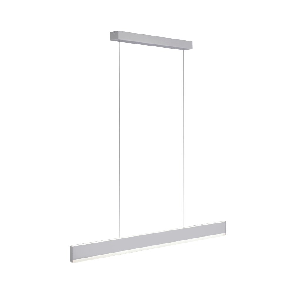 Paul Neuhaus ARINA Lampada a Sospensione LED Acciaio inox, 2-Luci, Sensori di movimento main product photo
