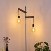 Aarhus Lampada da terra Legno scuro, Nero, 2-Luci