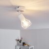Baripada Plafoniera Bianco, 1-Luce