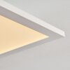 Salmi Plafoniera LED Bianco, 1-Luce, Telecomando