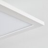Salmi Plafoniera LED Bianco, 1-Luce, Telecomando