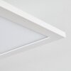 Salmi Plafoniera LED Bianco, 1-Luce, Telecomando