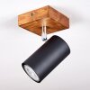Zuoz Plafoniera Legno chiaro, 1-Luce