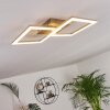 Batuna Plafoniera LED Nichel opaco, 1-Luce