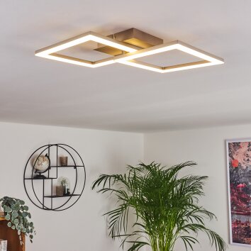 Batuna Plafoniera LED Nichel opaco, 1-Luce